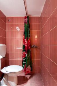 e bagno con servizi igienici e doccia con piastrelle rosse. di Studio for Couples near Downtown a Heraklion
