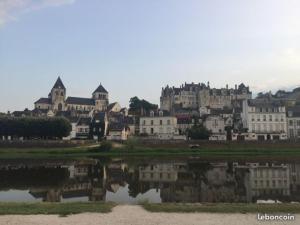 Une ville avec un tas de bâtiments et une masse d'eau dans l'établissement Au Près du Zoo, à Saint-Aignan