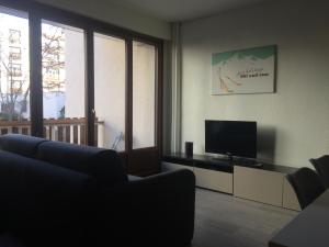 TV a/nebo společenská místnost v ubytování Résidence du parc