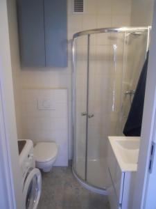 a bathroom with a shower and a toilet and a sink at Apartament Ohar in Sztutowo