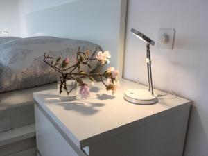 Fotografie z fotogalerie ubytování Casa Micheroli Parterre v destinaci Gordola