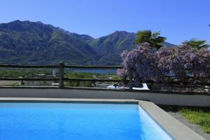 a swimming pool with a fence and mountains in the background at Casa Micheroli Parterre in Gordola