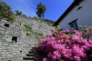 Fotografie z fotogalerie ubytování Casa Micheroli Parterre v destinaci Gordola