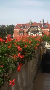 ソポトにあるSopot: apartament closest to the seaの家屋付きバルコニーに飾られた赤い花