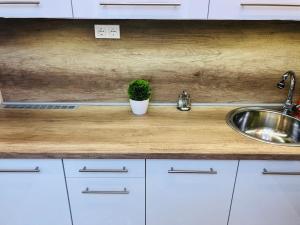 A kitchen or kitchenette at Green Island in the downtown with free parking