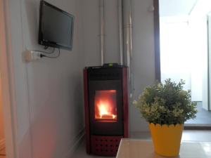 a fireplace in a room with a tv and a plant at JACOB'S HOSTEL TUI in Tui