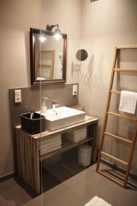 ein Bad mit einem Waschbecken und einem Spiegel in der Unterkunft Exklusive Designferienwohnung The Backyard TBY 02 in Trier
