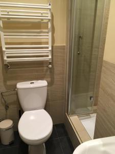 a bathroom with a toilet and a shower at Decor Park Apartament in Karpacz +7 photos