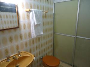 a bathroom with a toilet and a sink and a shower at Hotel Scholze in Canoinhas
