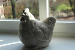 Altri animali domestici presso il bed & breakfast o nei dintorni