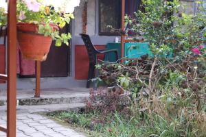 Un jardín fuera de Gurkha Lodge