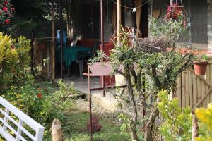 Un jardín fuera de Gurkha Lodge