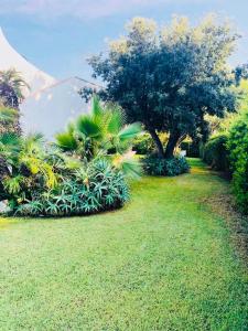 A garden outside Villa sul mare Rosa Marina