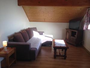 a living room with a couch and a tv at Appartement 60m2 entre lac et montagne in Vailly