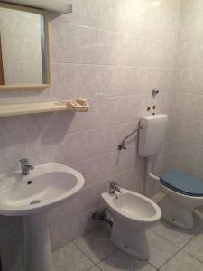 ein Bad mit einem WC und einem Waschbecken in der Unterkunft Apartments Paladina in Mandre
