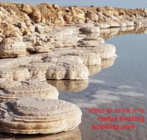 eine Gruppe Felsen neben dem Wasser in der Unterkunft Nadia Hosting Dead Sea in Neve Zohar