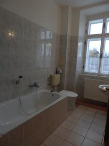 a bathroom with a bath tub and a toilet at Šporkův Mlýn in Dvůr Králové nad Labem