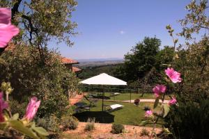 a garden with an umbrella and some pink flowers at Pacifico in Montepulciano