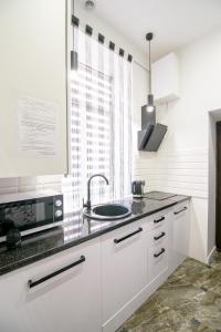 Virtuvė arba virtuvėlė apgyvendinimo įstaigoje NOVA apartment
