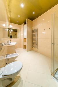 a bathroom with a toilet, sink, and shower stall at Residence Seven Angels in Prague