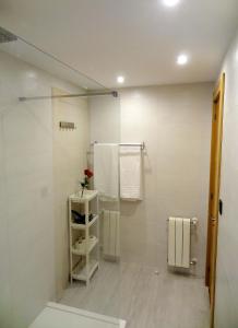 ein Badezimmer mit einer Dusche und einem Regal mit einer Blume darauf in der Unterkunft Les Cotolles Centro in Cangas de Onís