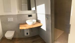een badkamer met een wastafel en een toilet bij Wunderschöne Wohlfühloase im Grünen mit Innenstadtnähe in Ellerbek