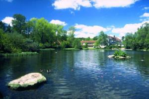 a river with a rock in the middle of it at Hotel Kilian in Braunlage