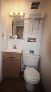 a small bathroom with a toilet and a sink at Topaz Lodge in Buena Vista