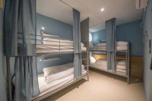two bunk beds in a room with blue walls at Deer Traveler 行鹿 in Yuchi