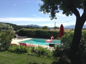 einen Pool mit einem rosa Schwan im Hof in der Unterkunft la Cigalette in Peypin + 7 Fotos