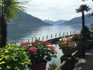 Gallery image of Apartments Posta al Lago in Ronco s/Ascona - Porto Ronco