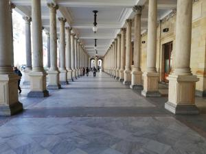 Zdjęcie z galerii obiektu Imperia w Karlowych Warach