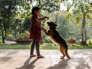 a young girl playing with a dog in a park at SaffronStays Masaya, Alibaug - pet-friendly villa with alfresco dining in Alibaug +36 photos