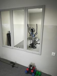 Posilňovňa alebo fitness centrum v ubytovaní Dedal