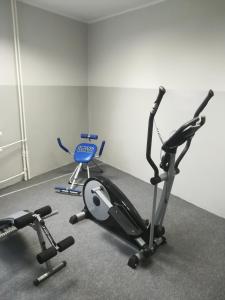 Posilňovňa alebo fitness centrum v ubytovaní Dedal