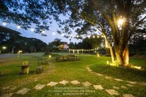 a park with benches and a tree with lights at The Harmony Resort in Suan Phung