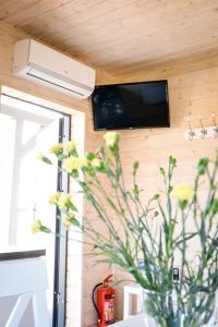 a vase with flowers in a room with a tv at Domki Komfort całoroczne in Zator