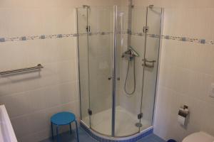 a shower with a glass door in a bathroom at Ferienhaus Maxe in Fehmarn +47 photos