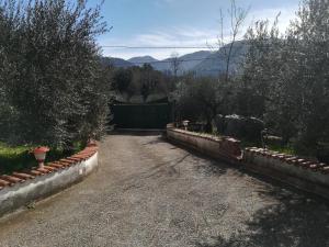 Gallery image of Casa fra gli ulivi di Giuseppe in Sonnino +29 photos