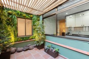 a kitchen with a plant growing in the middle of it at Apartamentos DV in Barcelona