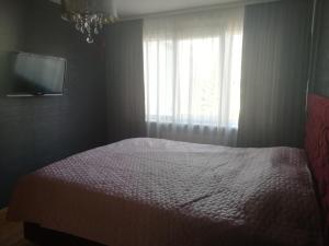 a bedroom with a bed with a window and a television at Justinos Apartamentai Panevėžyje in Panevėžys +2 photos