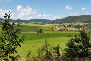 ein großes grünes Feld mit Häusern in der Ferne in der Unterkunft Haus Dürr23 in Lauterbach