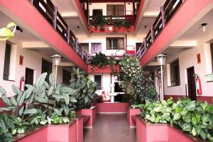 une pièce pleine de plantes vertes dans l'établissement Hotel São Lucas, à Alfenas