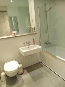 a bathroom with a toilet and a sink and a shower at Royal William Yard Apartment in Plymouth