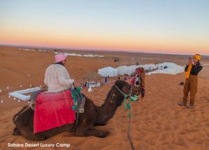 Hosté ubytování Sahara Desert Luxury Camp