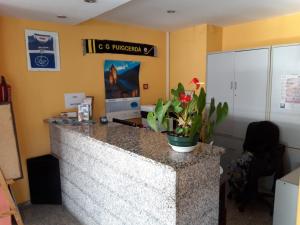 an office with a counter with a potted plant on it at Hotel Puigcerdà in Puigcerdà