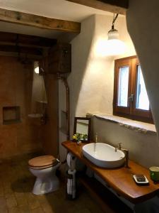 a bathroom with a sink and a toilet at Bolara 60: the Cottage in Grožnjan