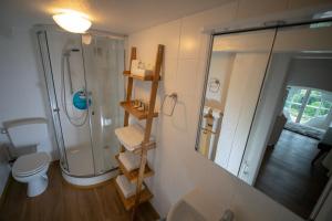 Ένα μπάνιο στο BioHotel Schloss Kirchberg +42 φωτογραφίες