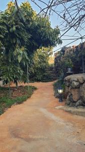 Zdjęcie z galerii obiektu Casitas La Montañita w mieście El Paso