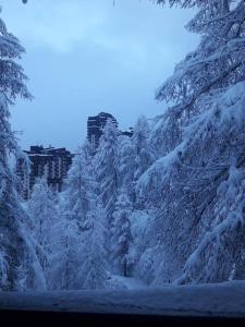 un groupe d'arbres recouvert de neige dans l'établissement Résidence Les Ecrins, aux Orres